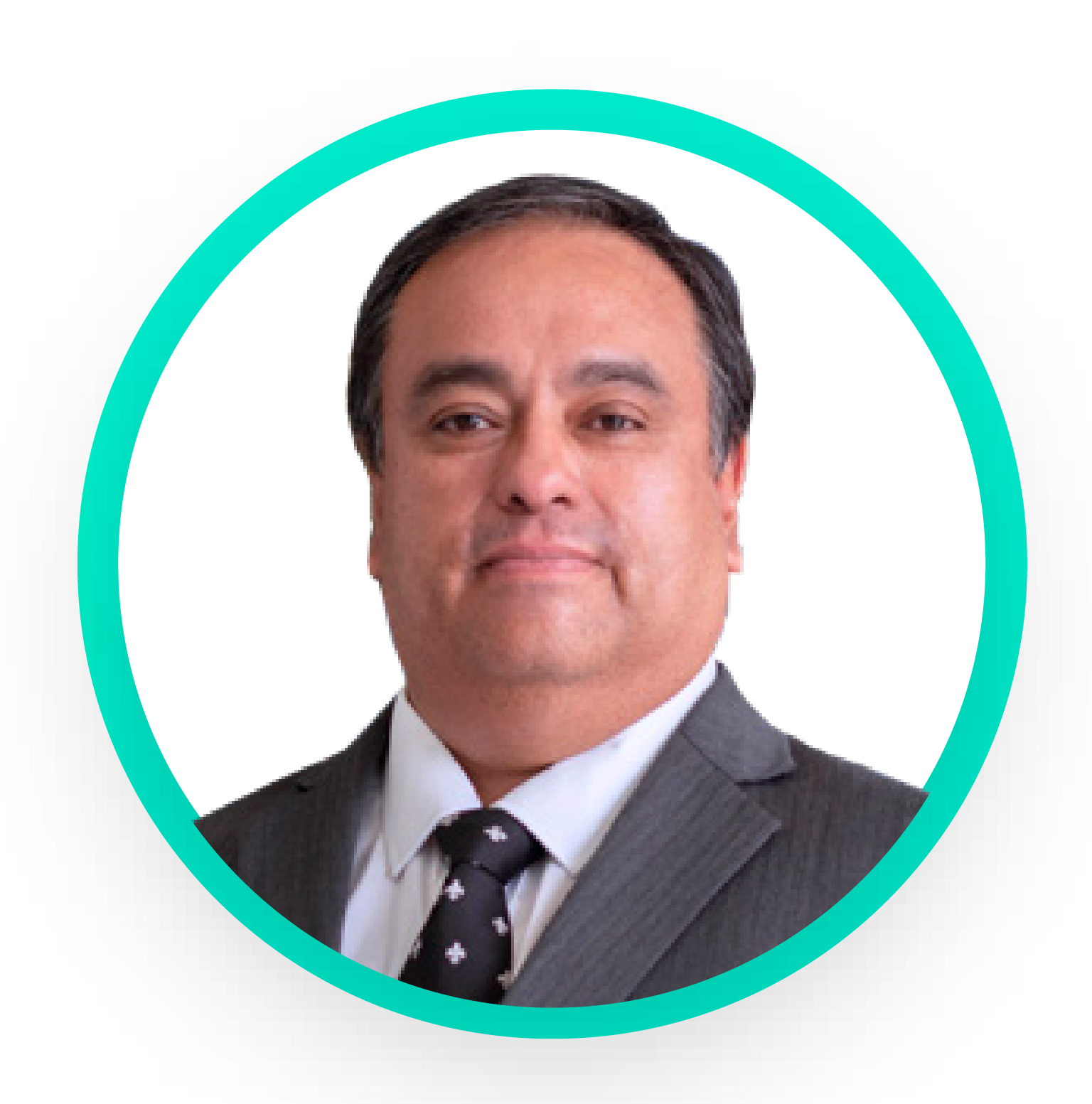 Descripción de la imagen